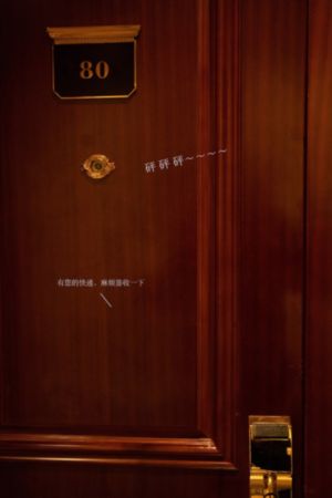 十二夜免费观看电视剧_HD视频大全